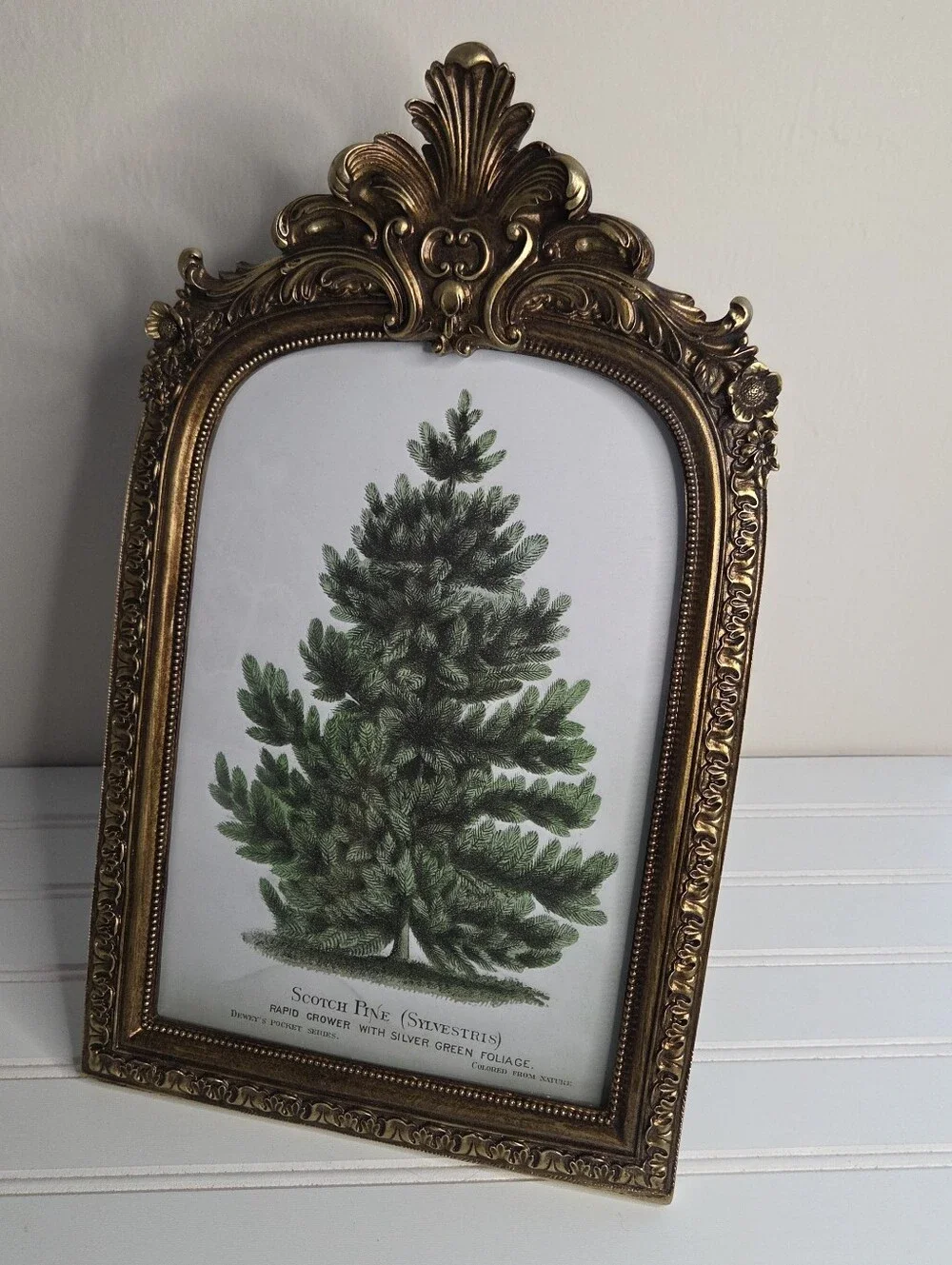 Kirklands Gold Picture Frame Pine Tree Art Desctop Picture